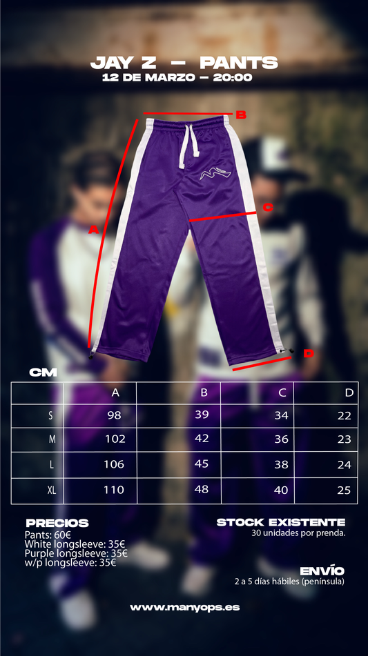 PURPLE JAY Z PANTS